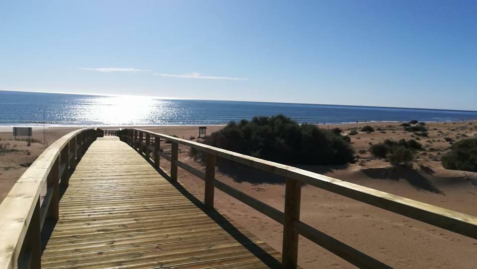 Apartamento Sol Mediterraneo Lägenhet Guardamar del Segura Exteriör bild